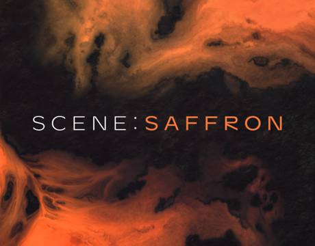 Native Instruments Scene - Saffron